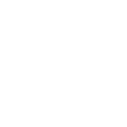 Vue
